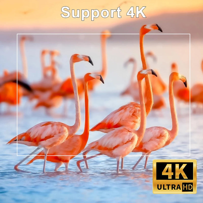 Projetor portatil 4k ZDSSY HY300 Android 11.0